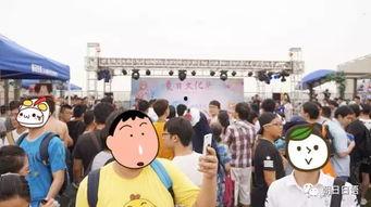 朝阳吃瓜群众 店铺,揭秘网红店铺背后的故事