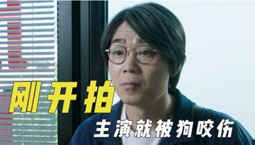 吃瓜君的日常,揭秘娱乐圈幕后故事