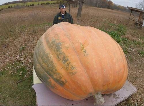 最真实吃瓜,真相大白，明星隐私曝光