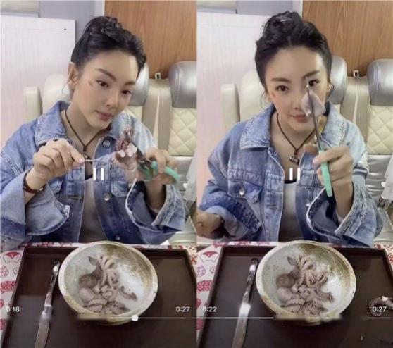 章鱼吃瓜事件,揭秘海洋生物的奇特饮食习惯