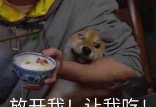 继续吃瓜图片大全,继续吃瓜图片大全趣味盘点