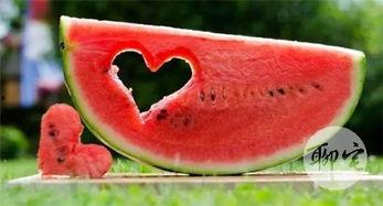 吃瓜最新免费,最新免费生成攻略大公开