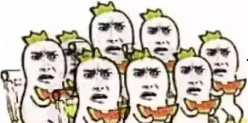 熊大熊二吃瓜群众,熊大熊二与吃瓜群众的欢乐时光