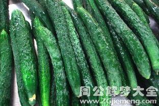 梦见吃瓜摘黄瓜,瓜果飘香，黄瓜映梦