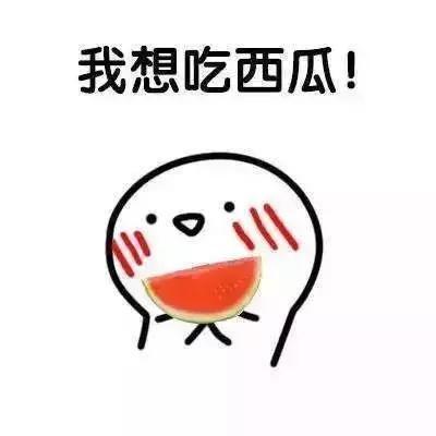 不许吃我瓜全文,一场关于瓜的趣味冒险之旅