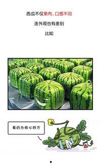 中国吃瓜群众的历史,中国吃瓜群众的演变与变迁