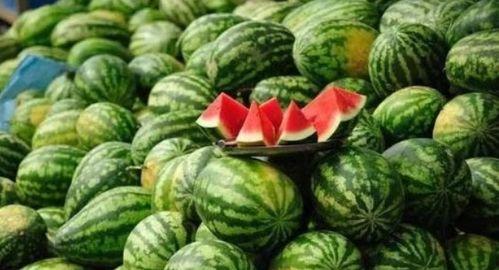 朝代吃瓜,穿越千年，品鉴历代宫廷与民间美食瓜果