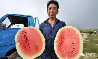 大型最强吃瓜视频,一场视觉盛宴的狂欢之旅