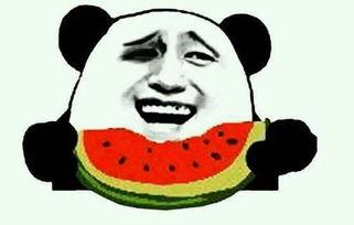 头条吃瓜,头条吃瓜背后的真相与内幕