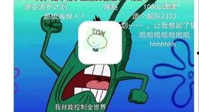 表哥直播吃瓜,一场视觉盛宴的美食之旅