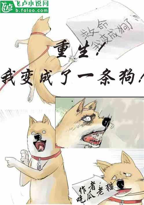 狗打架吃瓜合集