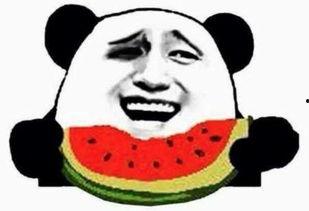 南疆的吃瓜群众,吃瓜群众的美食盛宴