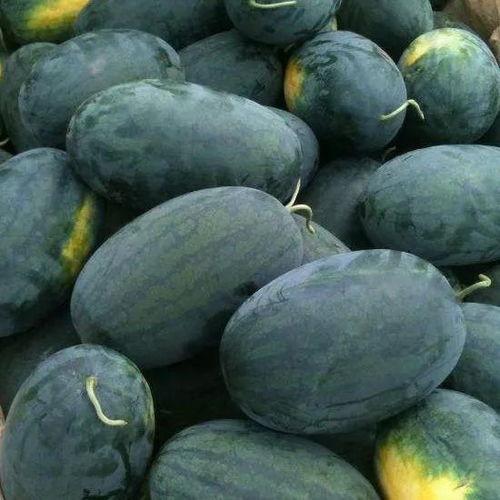 黑瓜里面的籽怎么吃最好,解锁最佳口感秘诀