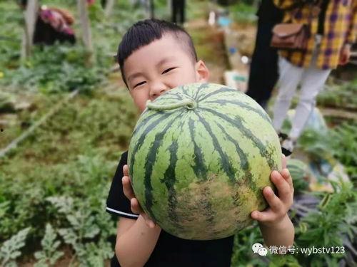 潘庄吃瓜消息,揭秘娱乐圈最新热点事件