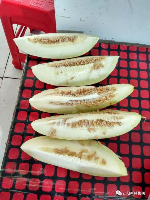 大西瓜带你吃瓜,大西瓜带你领略瓜界美食盛宴
