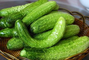 晚上用瓜白天吃瓜什么梗,揭秘“晚上用瓜白天吃瓜”的趣味梗