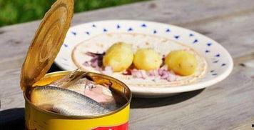 瓜哥吃鲱鱼罐头,揭秘吃鲱鱼罐头的独特体验