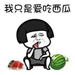 吃瓜第一原则,吃瓜群众第一手资讯大揭秘