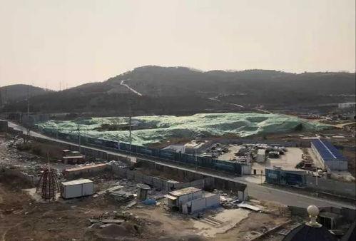 青岛吃瓜新动态,吃瓜群众聚焦最新潮流