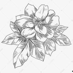 吃瓜线描,揭秘娱乐圈幕后故事