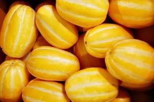 以吃瓜名义,吃瓜群众背后的真相与秘密