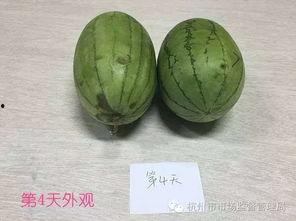 审美变美吃瓜,解锁美丽新姿势