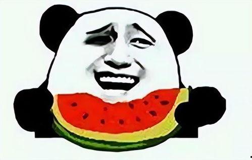 吃瓜红包怎么发,揭秘红包文化的演变之路