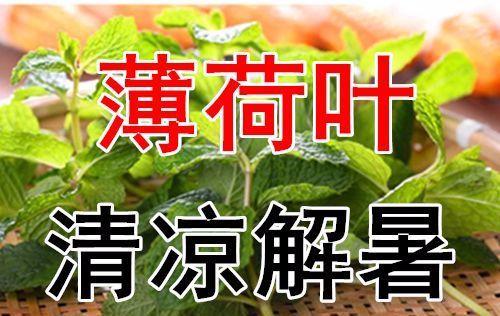 吃三叶瓜视频大全图片欣赏,视频大全图片赏析
