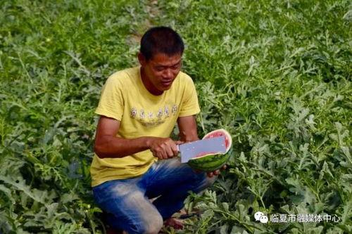 临夏最新吃瓜新闻视频,揭秘当地热门事件视频背后的真相