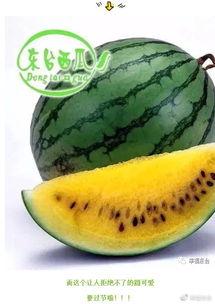 盐城东台吃瓜事件视频,一场引发热议的网络视频风波