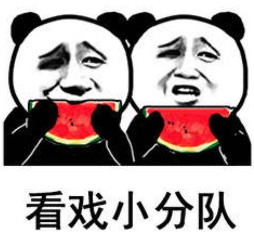 吃瓜的表情包视频,笑料横生的短视频盛宴