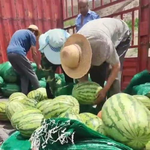 广州越秀区吃瓜事件视频,一场引发热议的街头冲突瞬间