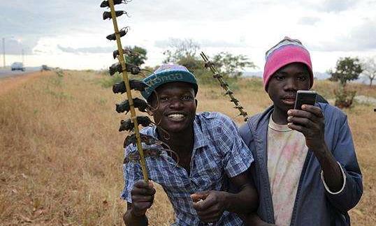 非洲网红吃瓜事件视频大全